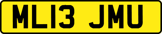 ML13JMU
