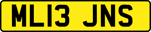 ML13JNS