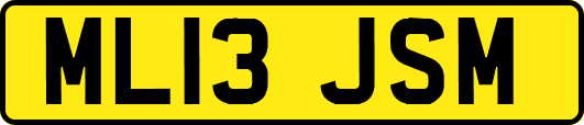 ML13JSM