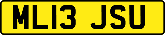 ML13JSU