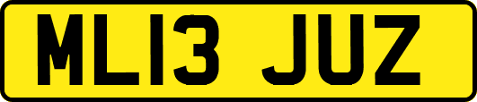 ML13JUZ