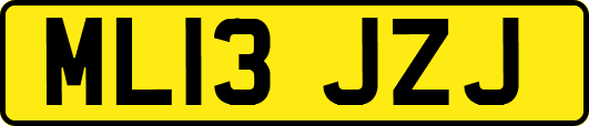 ML13JZJ