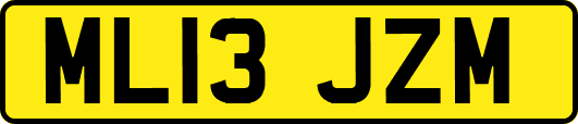 ML13JZM