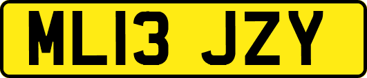 ML13JZY