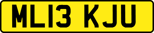 ML13KJU
