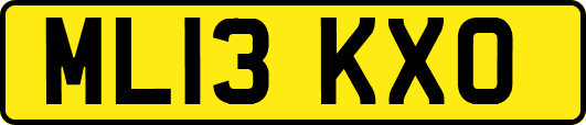 ML13KXO