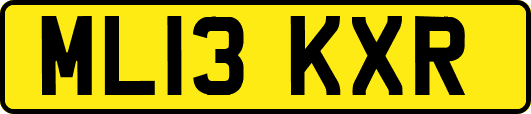 ML13KXR