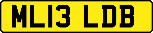 ML13LDB