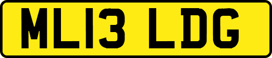 ML13LDG