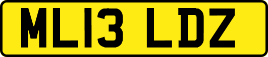 ML13LDZ