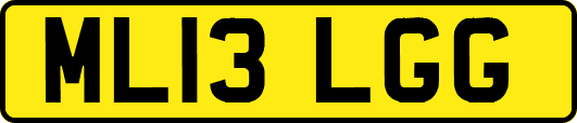 ML13LGG