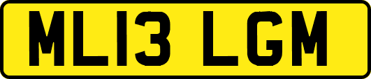 ML13LGM