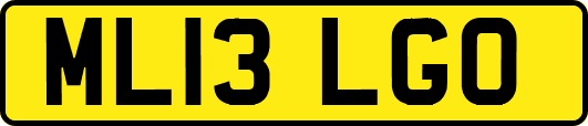 ML13LGO