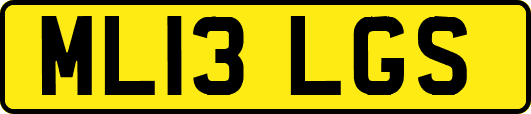ML13LGS