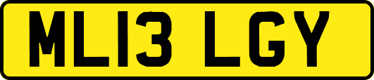 ML13LGY