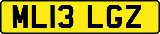 ML13LGZ