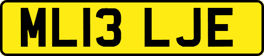 ML13LJE