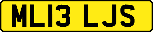 ML13LJS