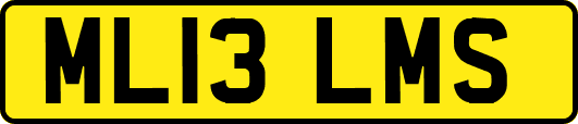 ML13LMS