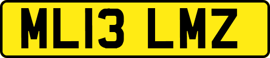 ML13LMZ