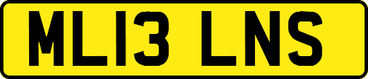 ML13LNS