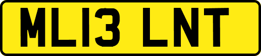 ML13LNT