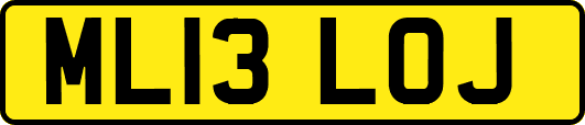 ML13LOJ