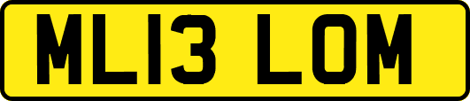 ML13LOM