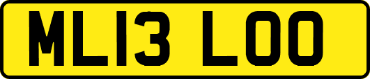 ML13LOO