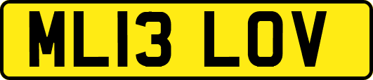 ML13LOV