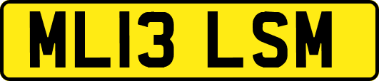 ML13LSM