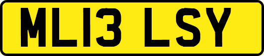 ML13LSY