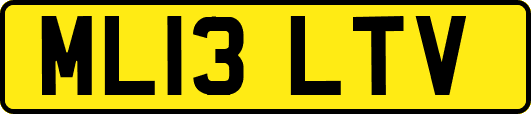ML13LTV