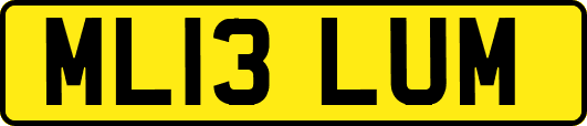 ML13LUM
