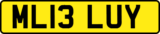 ML13LUY