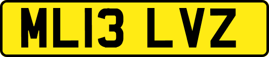 ML13LVZ