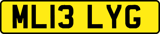ML13LYG