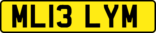 ML13LYM