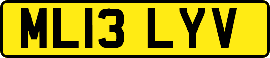ML13LYV