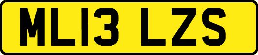 ML13LZS
