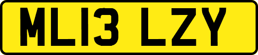 ML13LZY