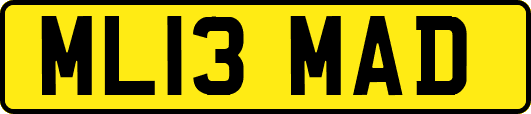 ML13MAD