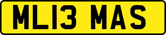 ML13MAS