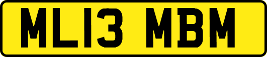 ML13MBM