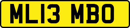 ML13MBO