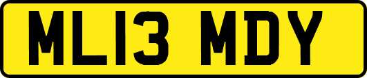 ML13MDY