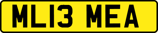 ML13MEA