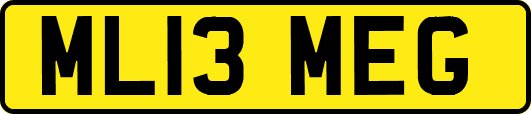 ML13MEG