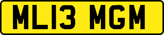 ML13MGM