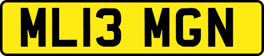 ML13MGN